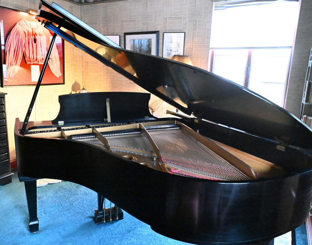 Gallery image